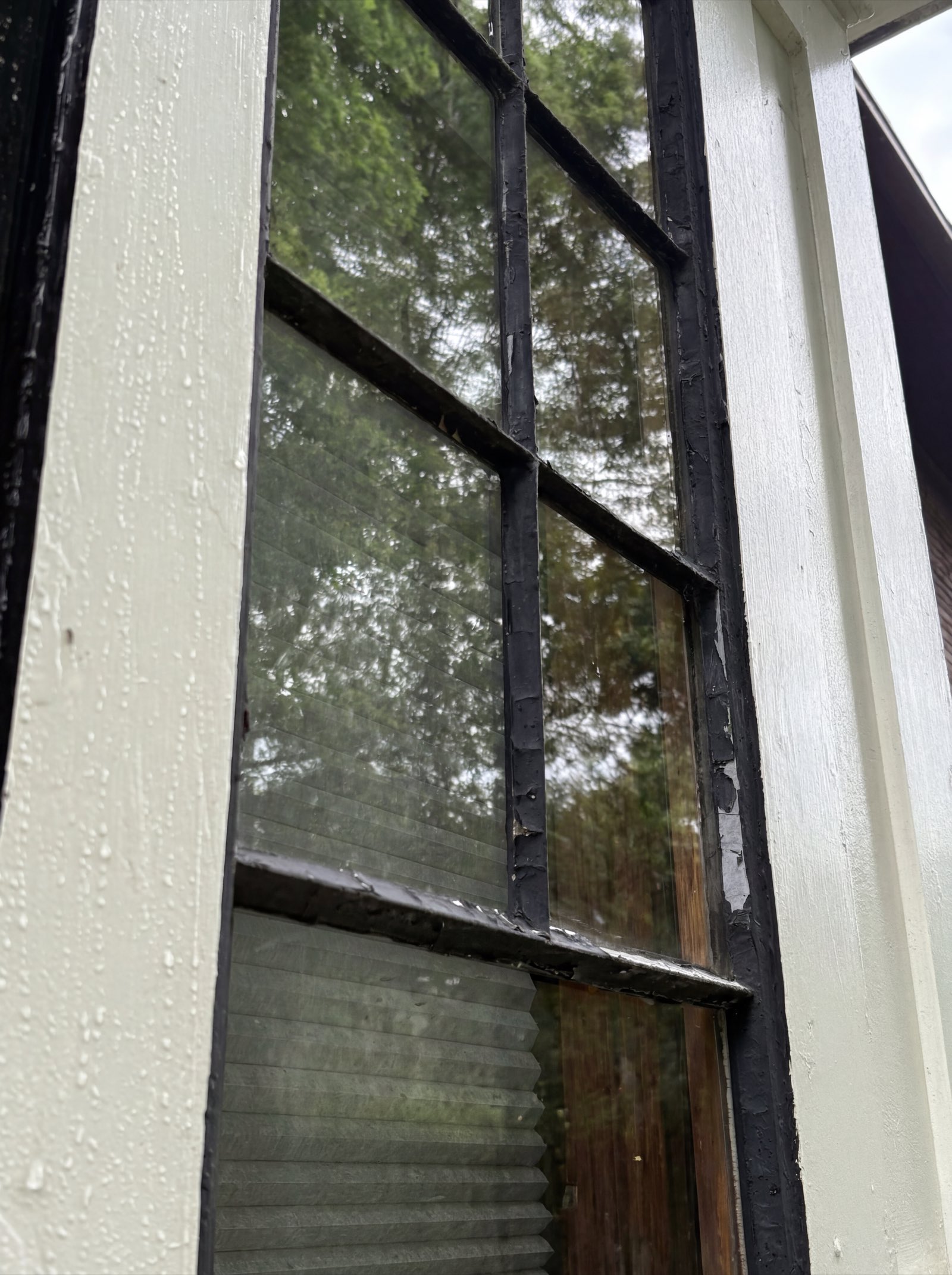 Window glass after Clearstead cleaning